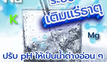 ระบบเติมแร่ธาตุที่มีประโยชน์ ( Mineral adding system )