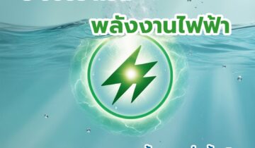 ระบบหน้าจอสัมผัสใช้งานง่ายและระบบเครื่องที่ทันสมัย ( Easy to use touch screen system and modern machine system )